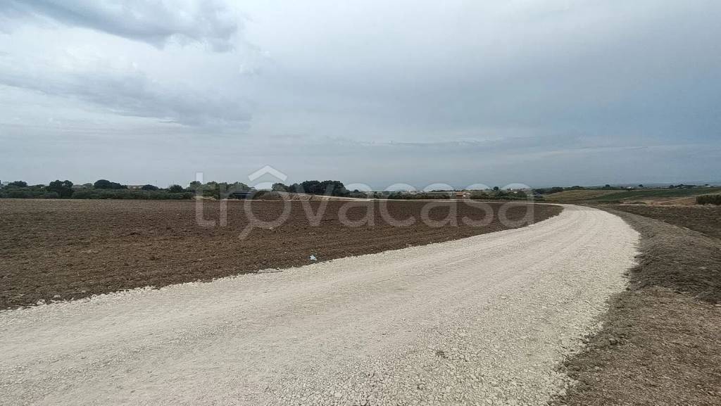 terreno agricolo in vendita a Campomarino