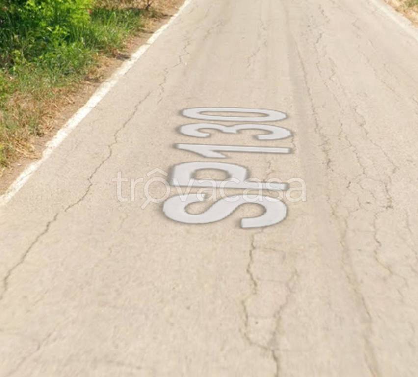terreno agricolo in vendita a Campomarino