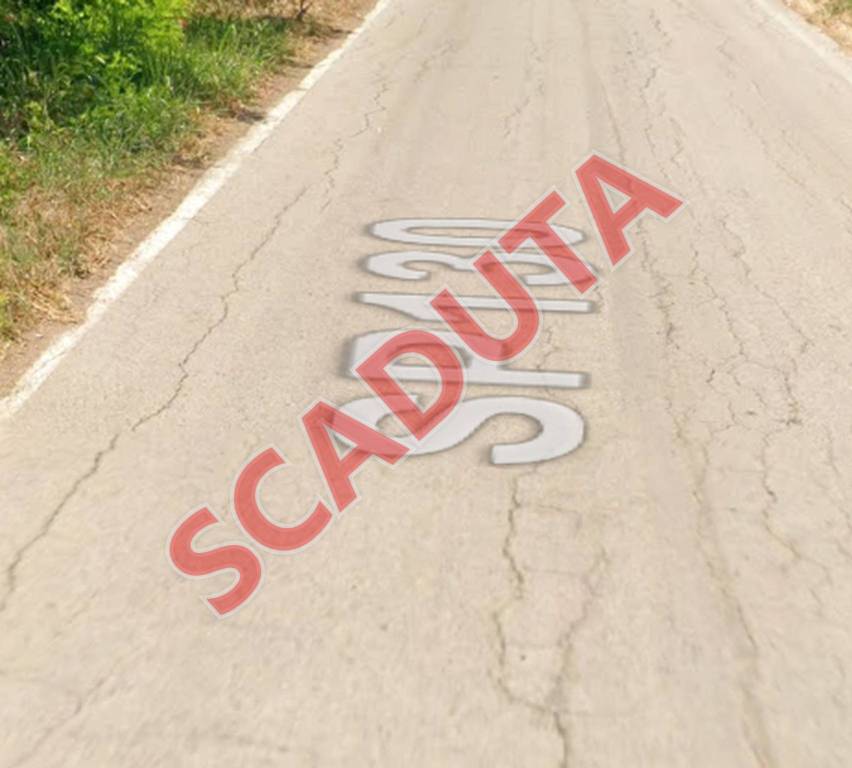 terreno agricolo in vendita a Campomarino