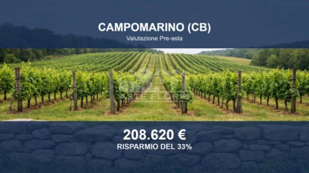 terreno agricolo in vendita a Campomarino