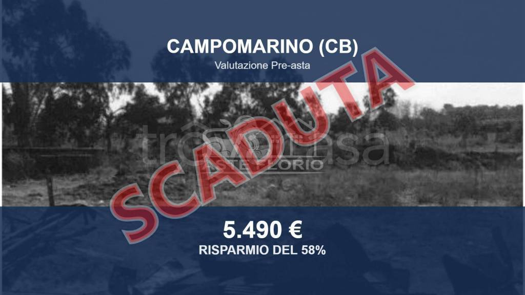 terreno agricolo in vendita a Campomarino in zona Nuova Cliternia