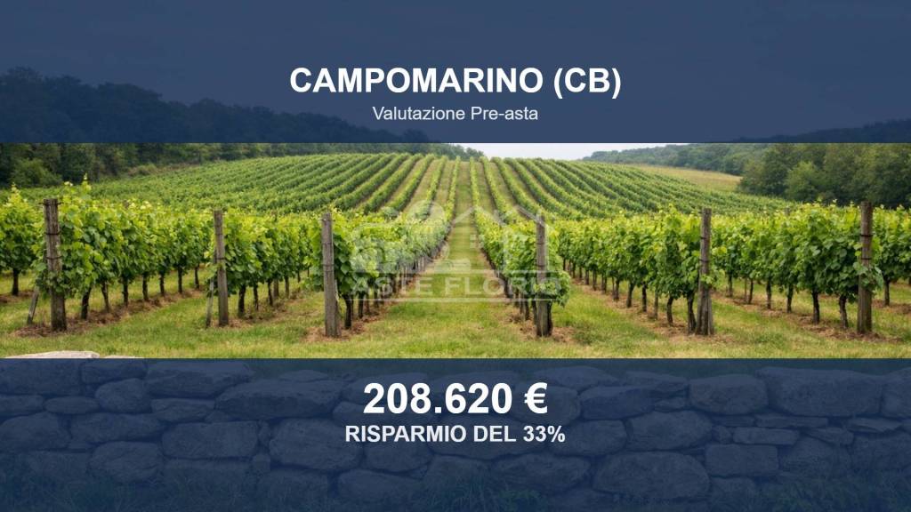 terreno agricolo in vendita a Campomarino