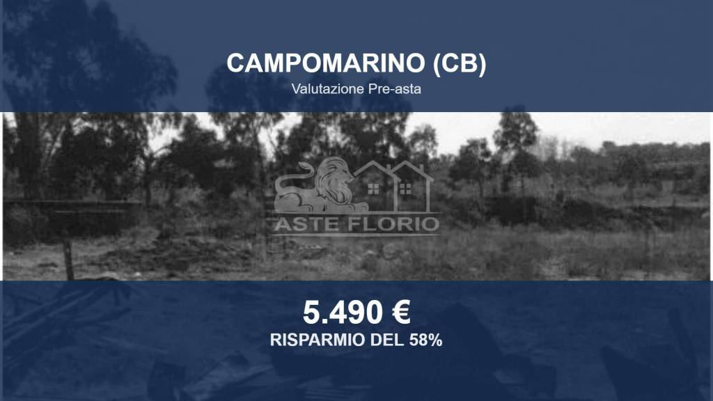 terreno agricolo in vendita a Campomarino