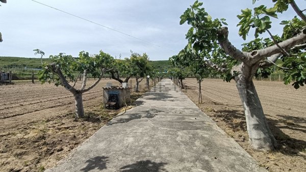 terreno edificabile in vendita a Campomarino