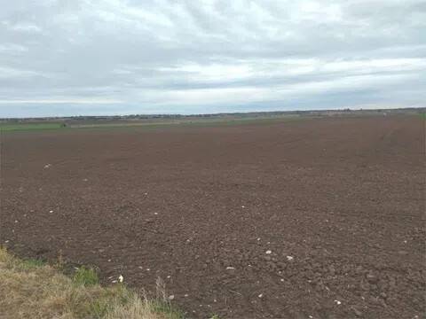 terreno agricolo in vendita a Campomarino in zona Nuova Cliternia