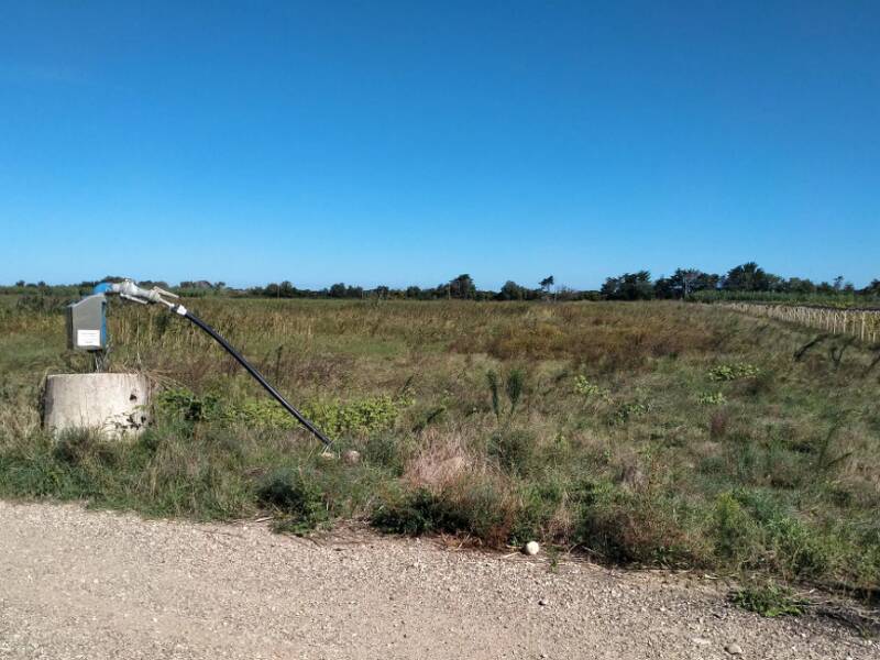 terreno agricolo in vendita a Campomarino in zona Ramitelli