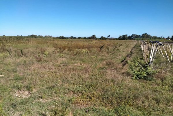 terreno agricolo in vendita a Campomarino in zona Ramitelli