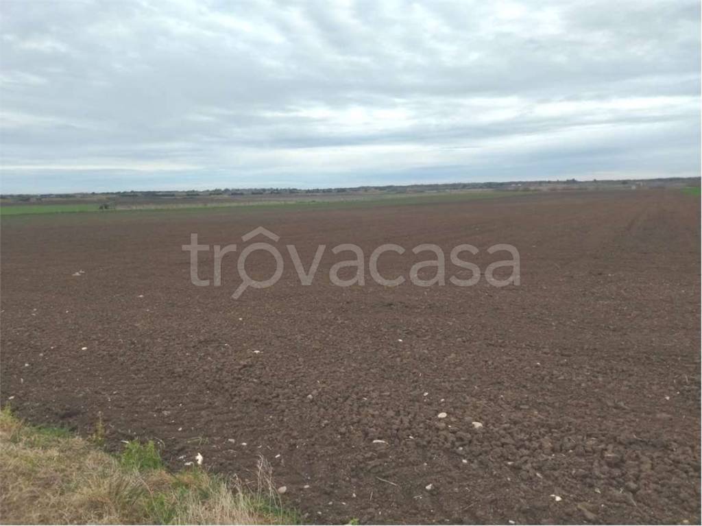 terreno agricolo in vendita a Campomarino