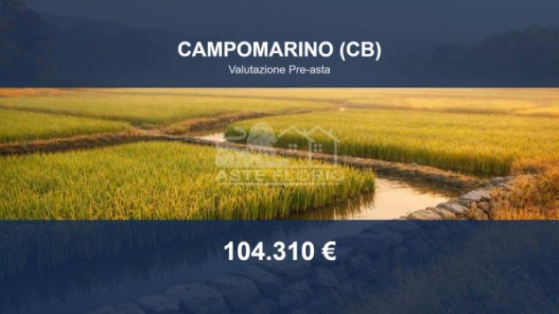 terreno agricolo in vendita a Campomarino