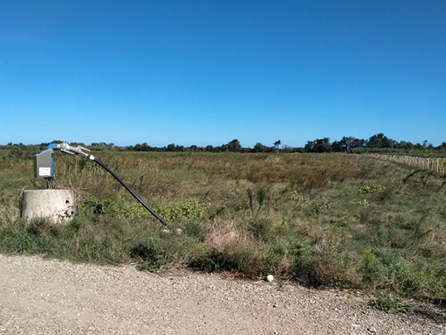 terreno agricolo in vendita a Campomarino in zona Ramitelli