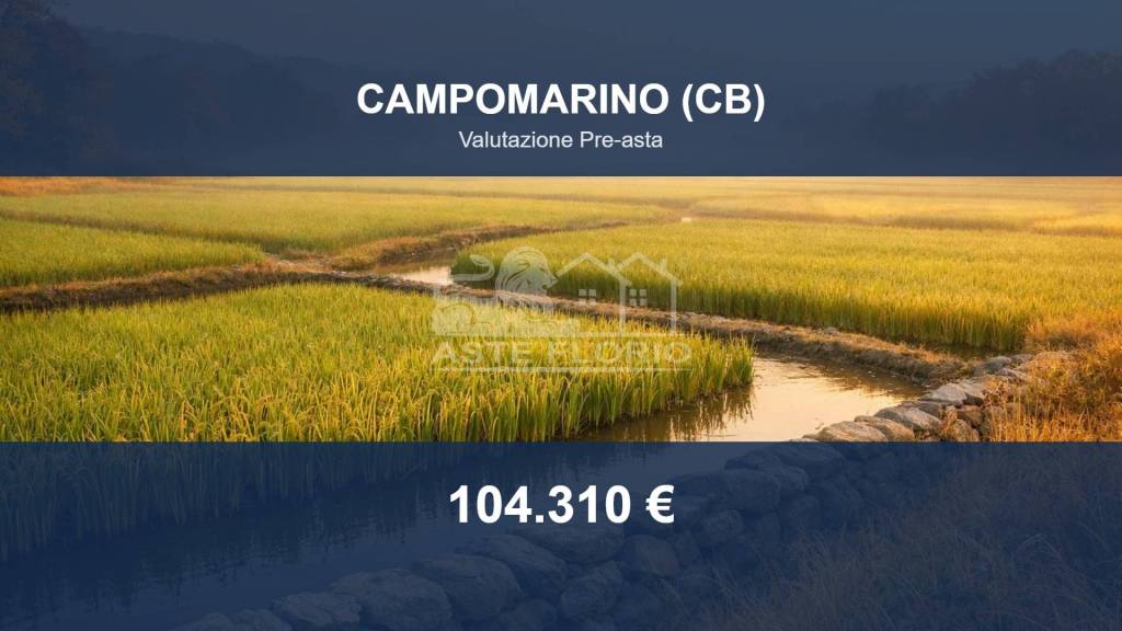 terreno agricolo in vendita a Campomarino