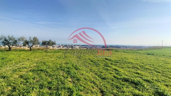 terreno agricolo in vendita a Campomarino