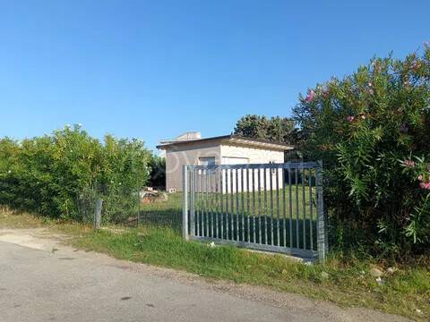 terreno agricolo in vendita a Campomarino