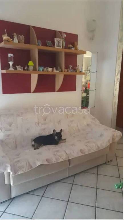 appartamento in vendita a Campomarino