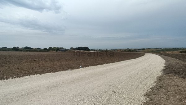 terreno agricolo in vendita a Campomarino in zona Nuova Cliternia