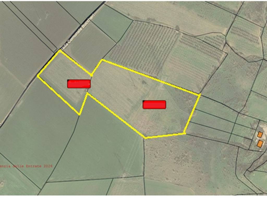 terreno agricolo in vendita a Campomarino in zona Nuova Cliternia