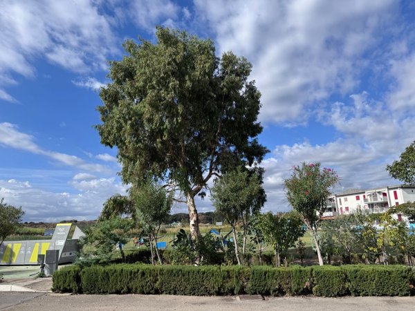 appartamento in vendita a Campomarino