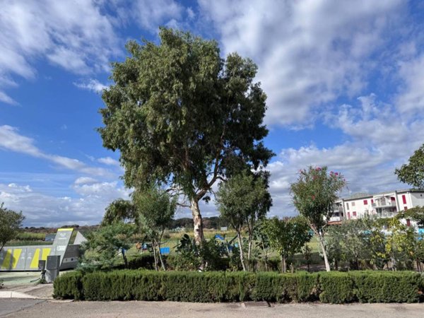 appartamento in vendita a Campomarino