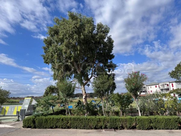 appartamento in vendita a Campomarino