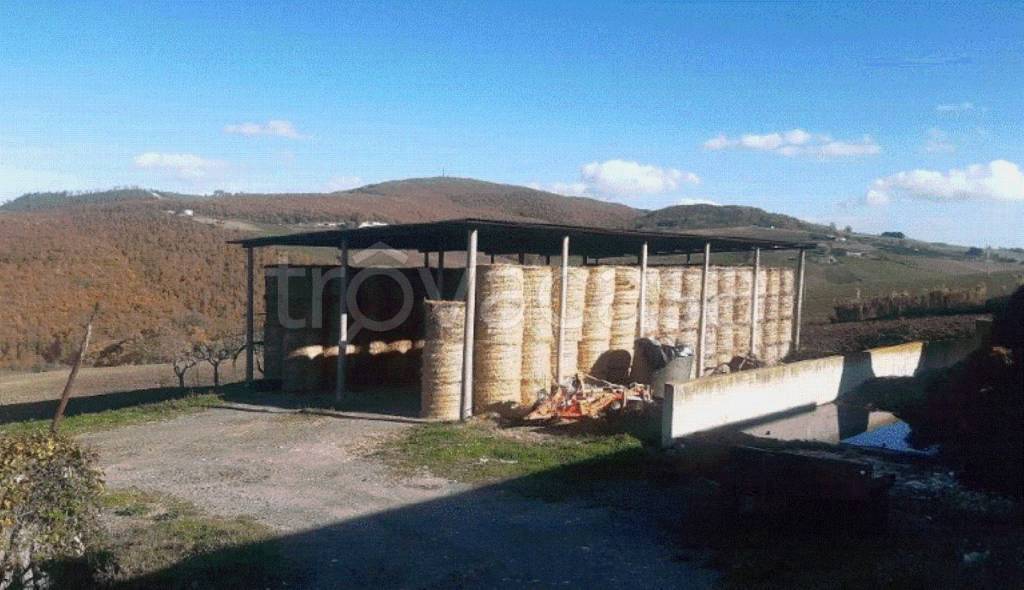 locale commerciale in vendita a Casacalenda