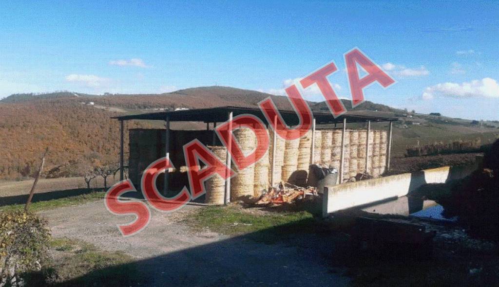 locale commerciale in vendita a Casacalenda