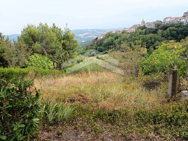 terreno agricolo in vendita a Castelbottaccio