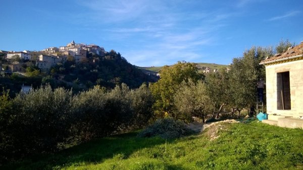 esavano in vendita a Castelbottaccio