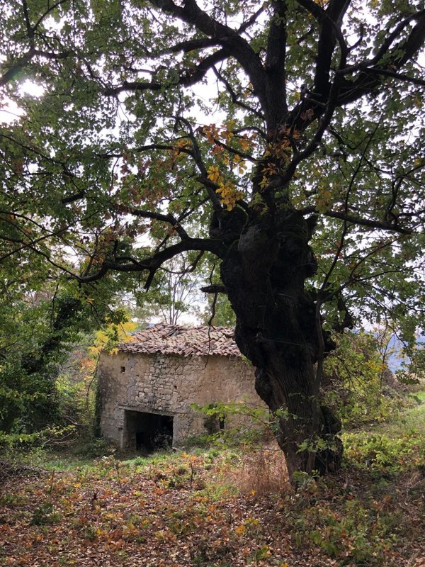 appartamento in vendita a Castelmauro