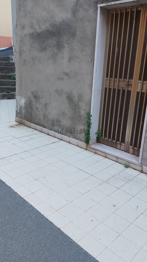 quadrivano in vendita a Castelmauro