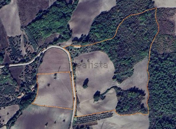 terreno agricolo in vendita a Castelmauro