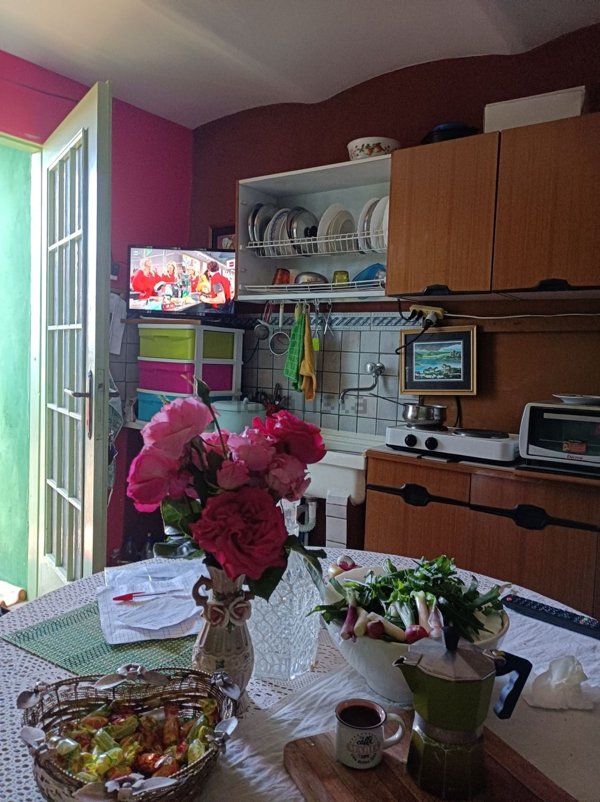 appartamento in vendita a Castropignano