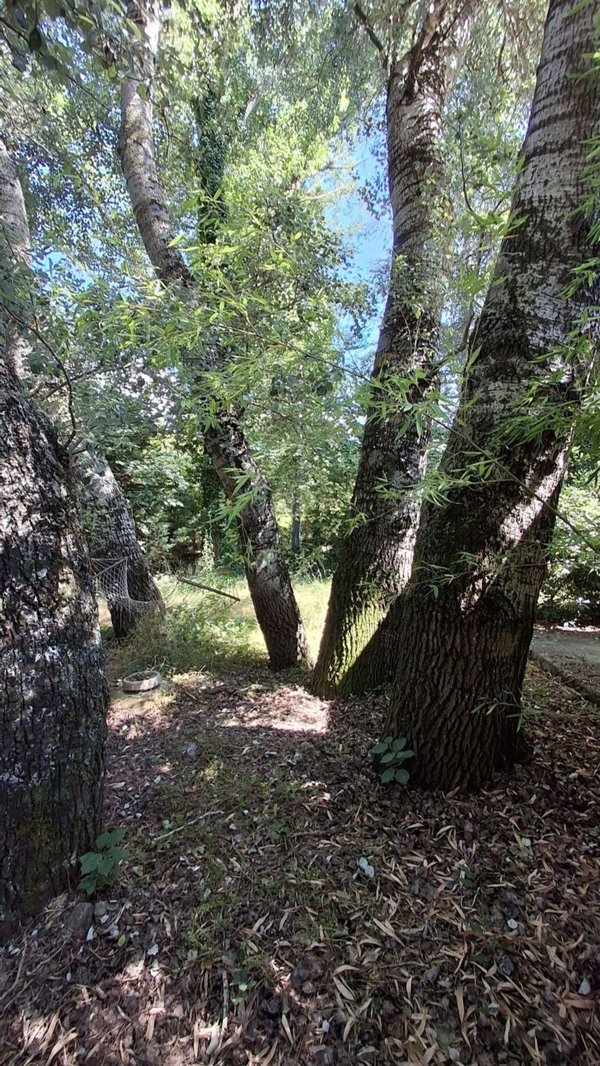 appartamento in vendita a Castropignano