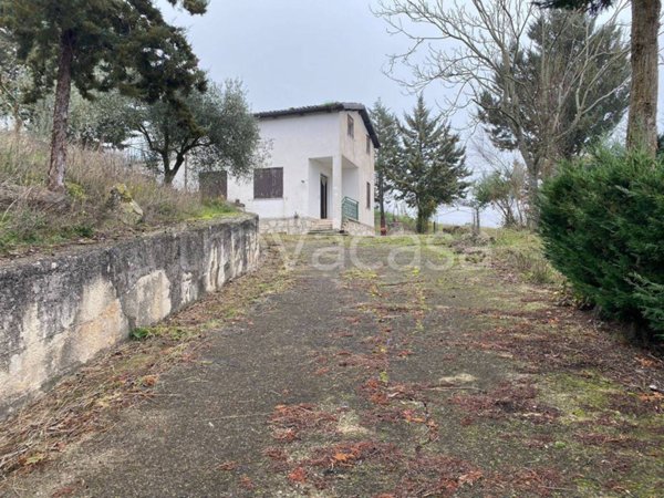 casa indipendente in vendita a Castropignano