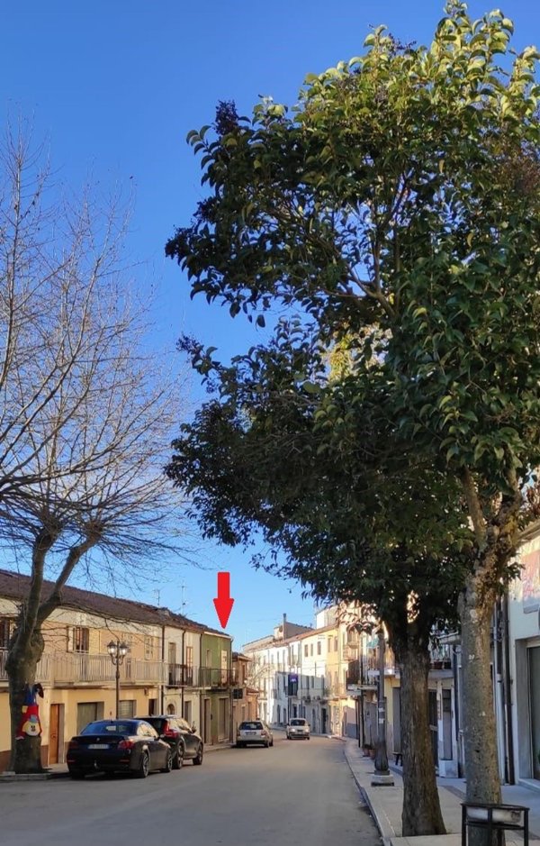 quadrivano in vendita a Cercemaggiore