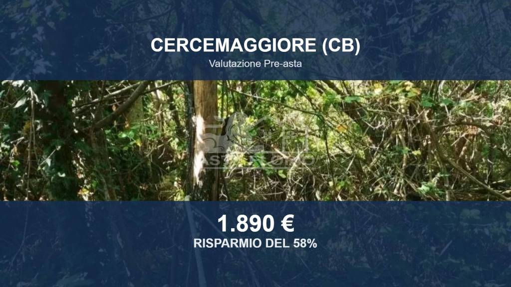 terreno agricolo in vendita a Cercemaggiore