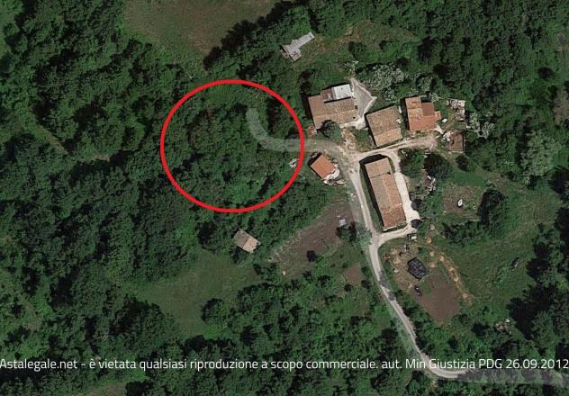 terreno agricolo in vendita a Cercemaggiore
