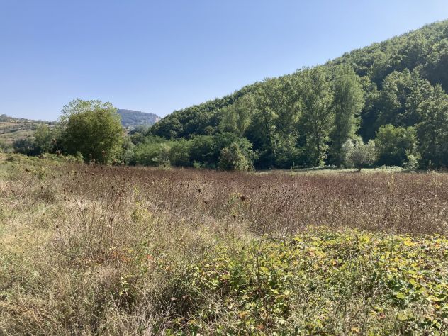 terreno agricolo in vendita a Ferrazzano