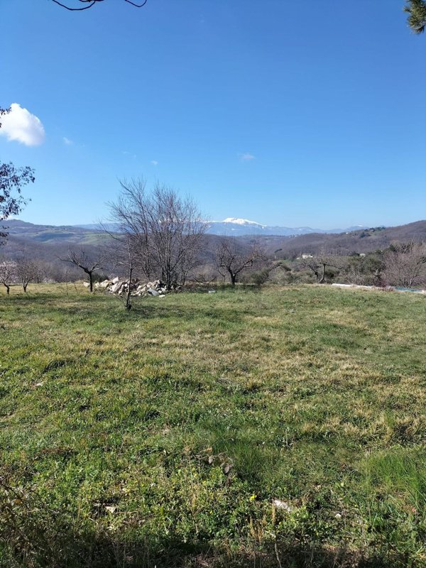 terreno agricolo in vendita a Ferrazzano