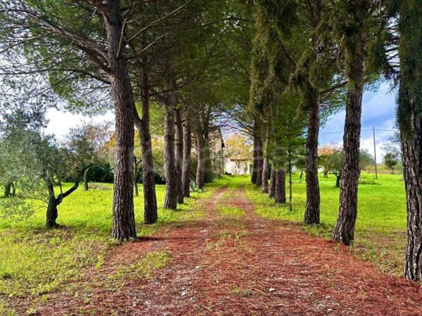 casa indipendente in vendita a Ferrazzano