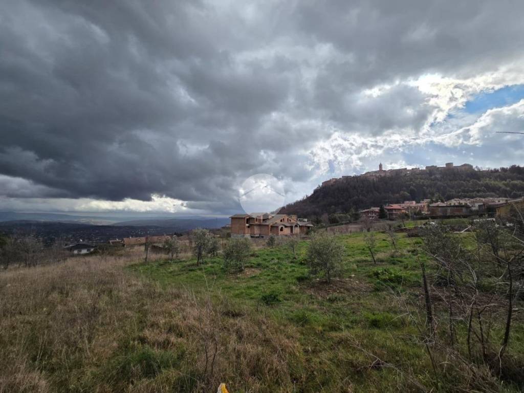 terreno agricolo in vendita a Ferrazzano