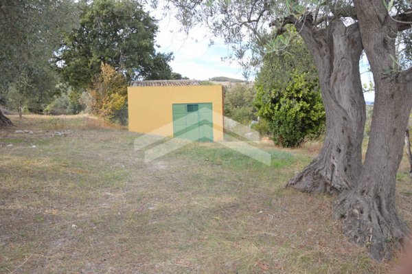 terreno agricolo in vendita a Guardialfiera