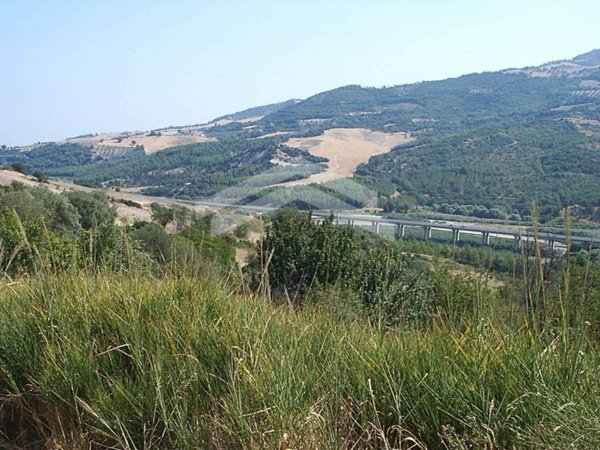 terreno agricolo in vendita a Guardialfiera