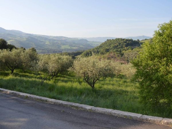 terreno agricolo in vendita a Guardialfiera