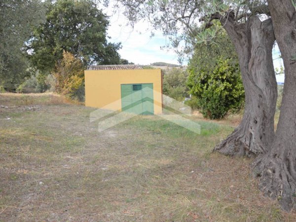 terreno agricolo in vendita a Guardialfiera