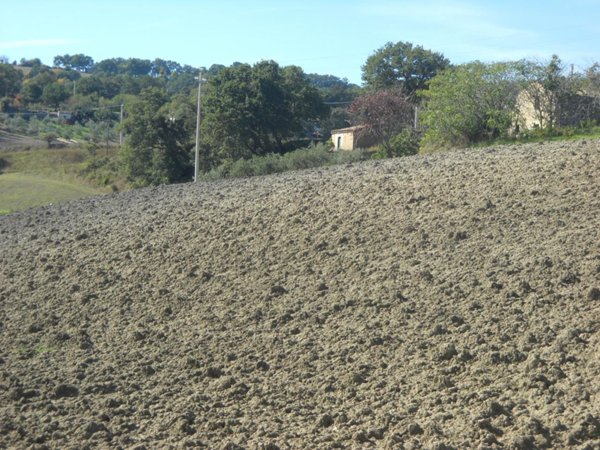 terreno edificabile in vendita a Guardialfiera