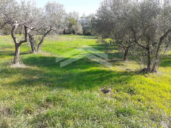 terreno agricolo in vendita a Guardialfiera