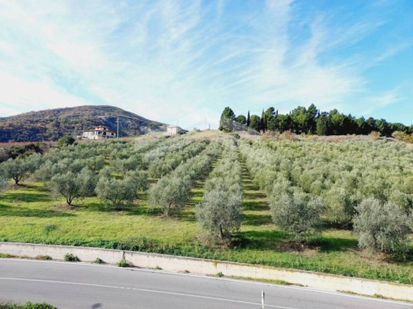 terreno agricolo in vendita a Guardialfiera