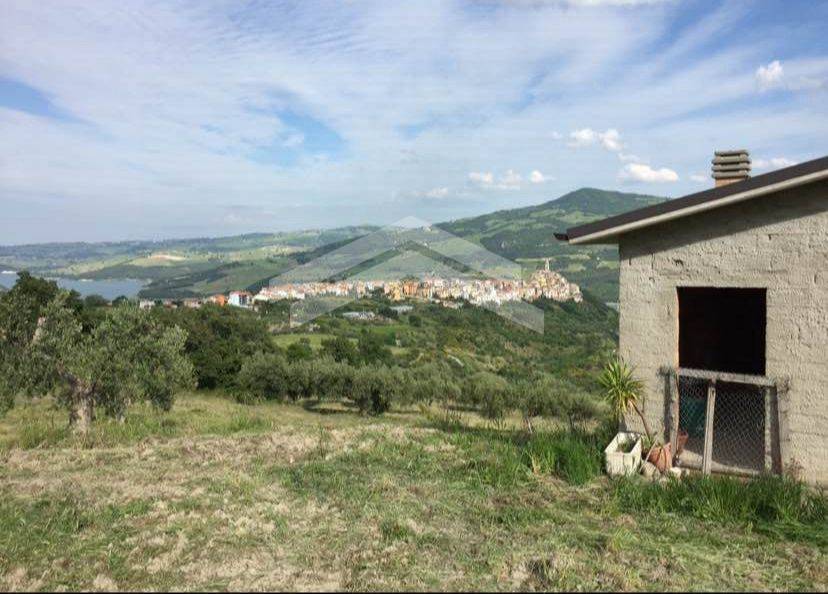 terreno agricolo in vendita a Guardialfiera