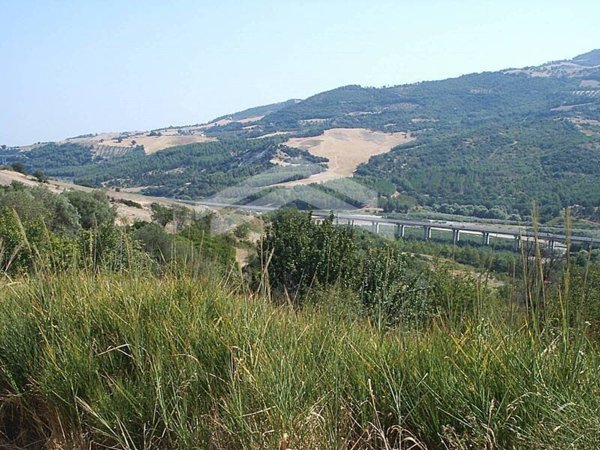terreno agricolo in vendita a Guardialfiera