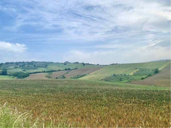 terreno agricolo in vendita a Guglionesi